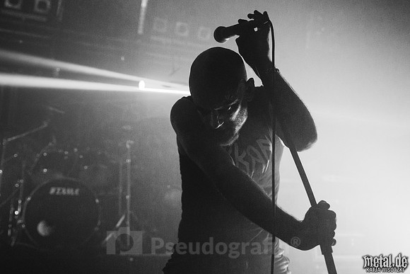 Taake