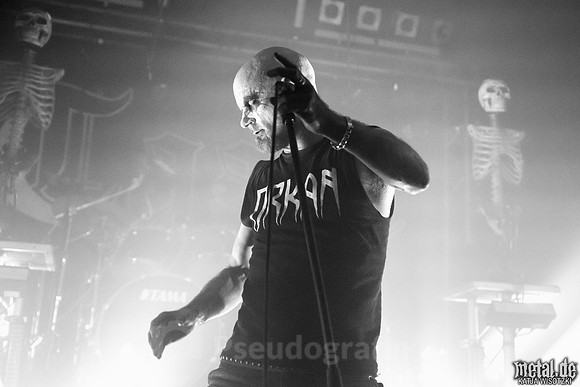 Taake