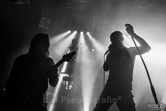 Taake