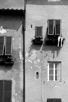 Lucca