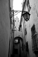 Cervo