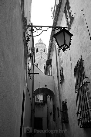 Cervo