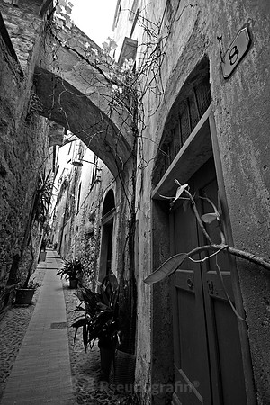 Cervo