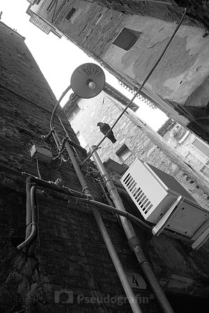 Lucca