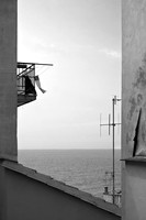 Cervo