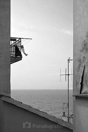 Cervo