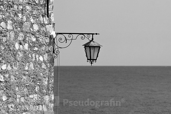 Cervo