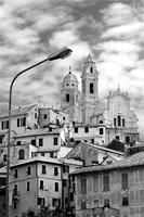 Cervo