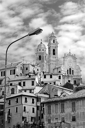 Cervo