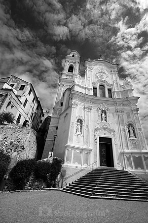Cervo