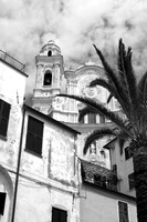 Cervo