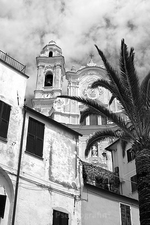 Cervo