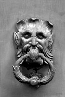 Avignon