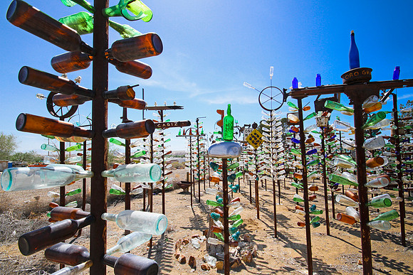 Bottle Tree Ranch