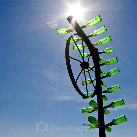 Bottle Tree Ranch