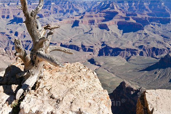 Grand Canyon, AZ