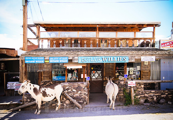 Oatman, AZ