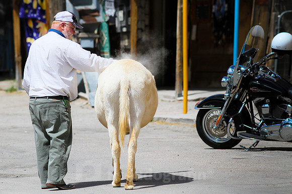 Oatman, AZ