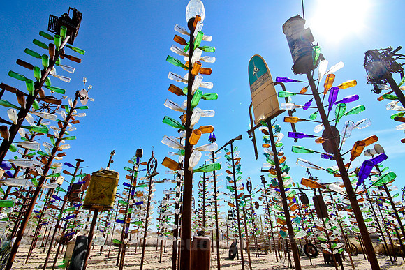 Bottle Tree Ranch