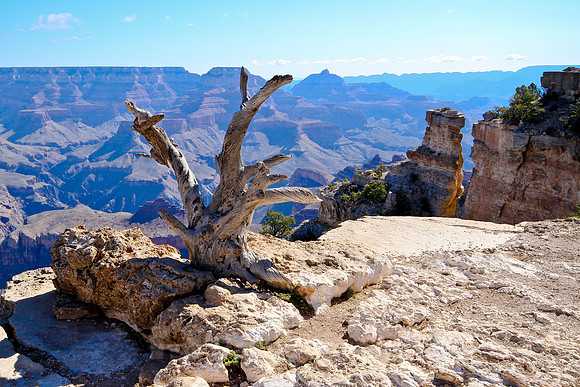 Grand Canyon, AZ