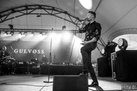 Gulvoss