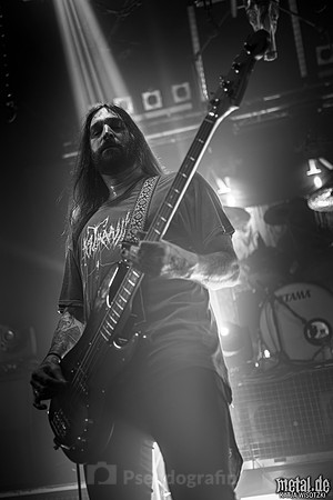 Karg