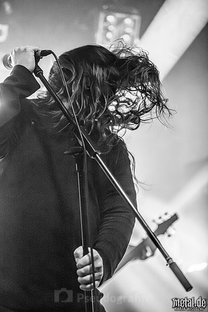 Part of the Anima