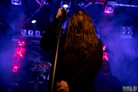 Part of the Anima