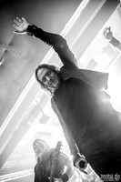 Dark Tranquillity