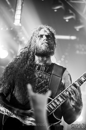 Varg