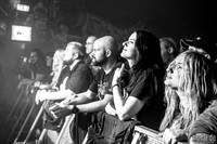 Dark Tranquillity