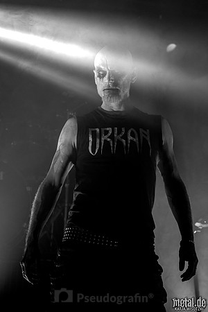 Taake