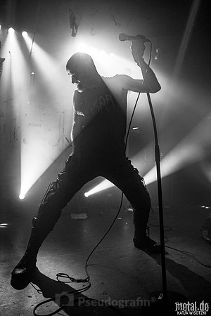 Taake