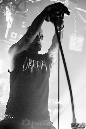 Taake