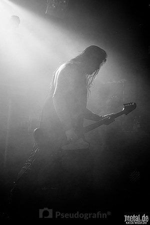 Taake