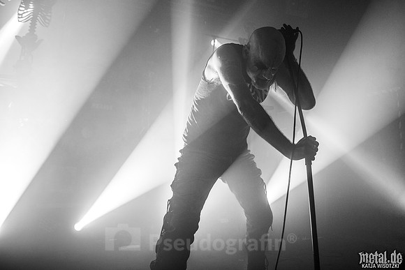 Taake