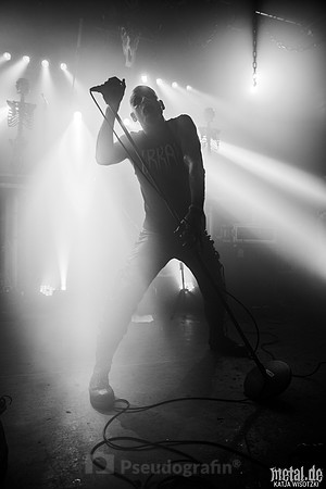Taake